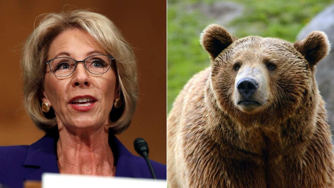Guns for Grizzlies: 10 Public School Movie Educators Surely Affected by Education Secretary Betsy DeVos and the Trump Administration